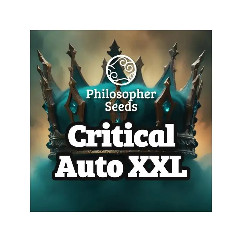 Auto Critical XL