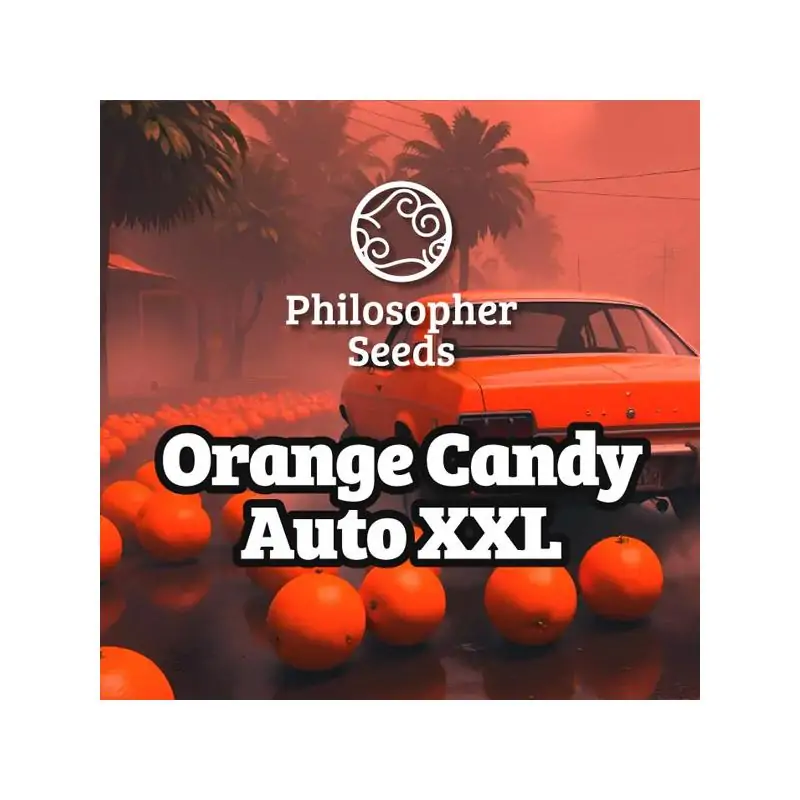 Auto Orange Candy XL