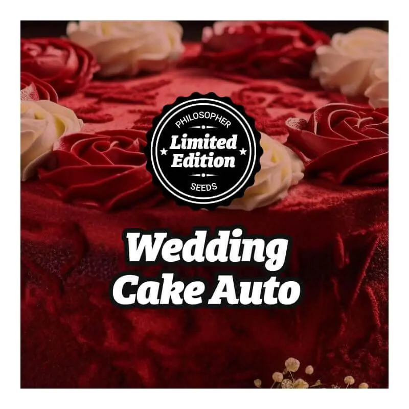 Auto Wedding Cake