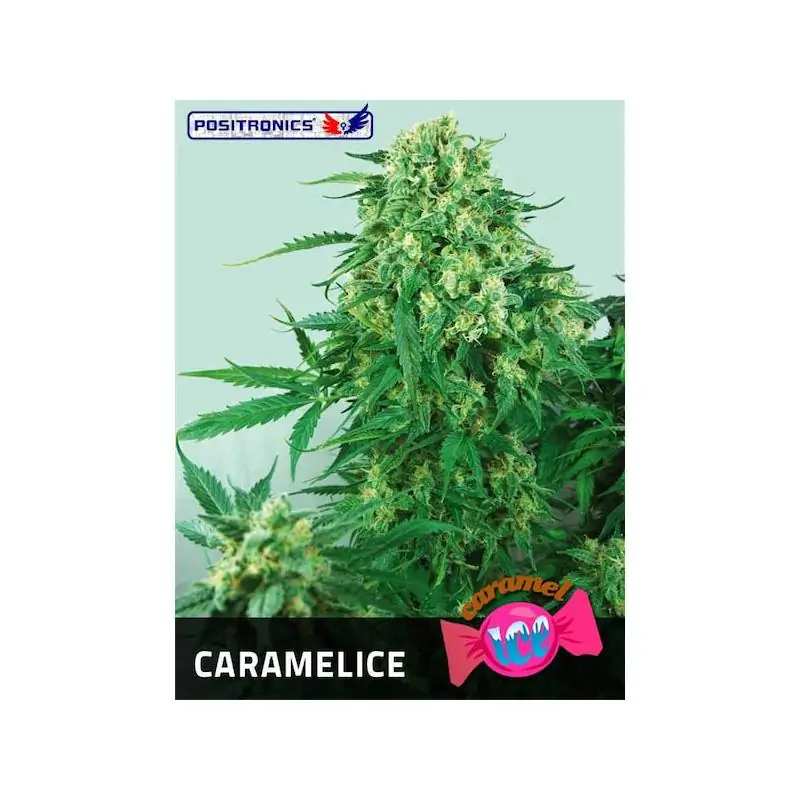 Caramelice