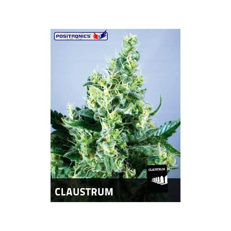 Claustrum 2.0