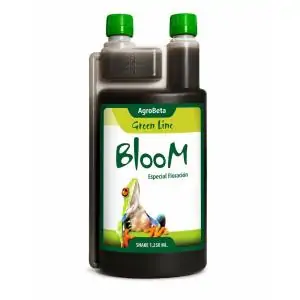 BLOOM GREEN LINE (FLORACION)