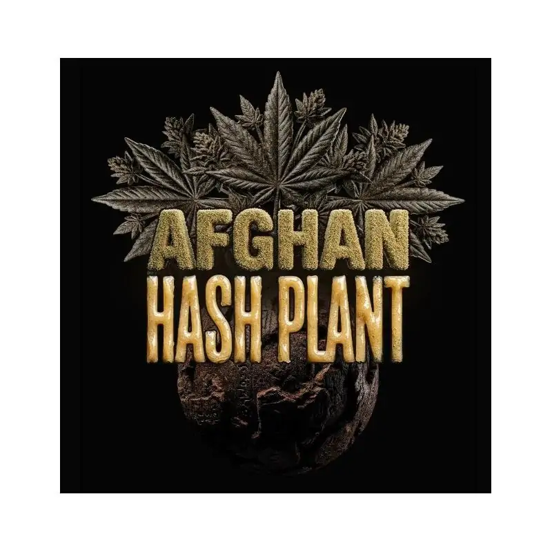 Auto Afghan Hash Plant