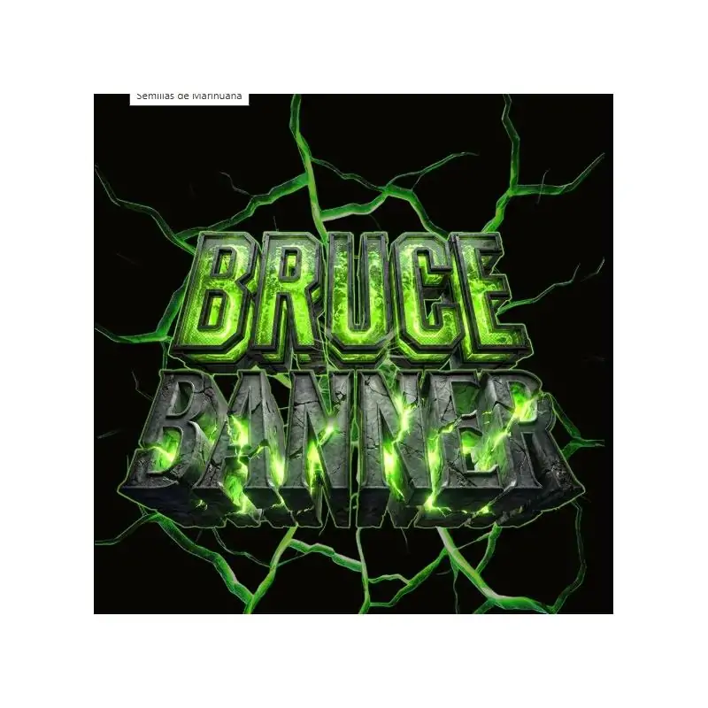 Auto Bruce Banner