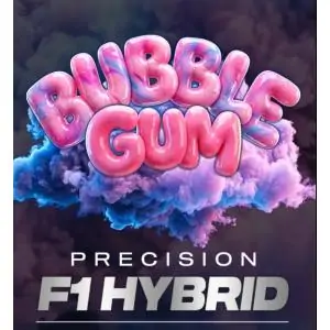 Auto Bubblegum