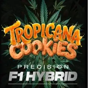 Auto Tropicana Cookies