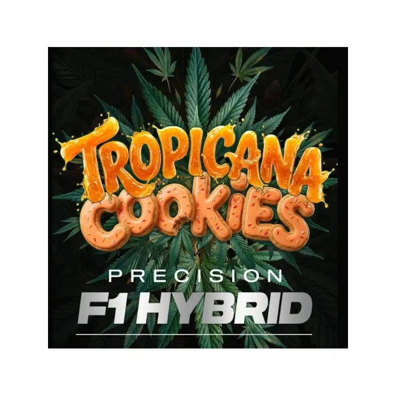 Auto Tropicana Cookies