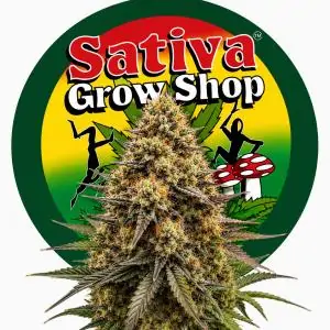 Auto Amnesia Kush