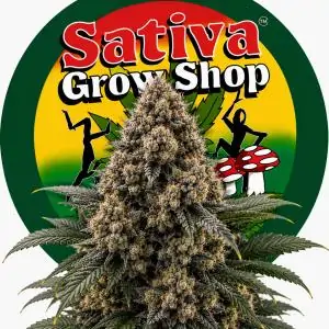 Auto Gorilla