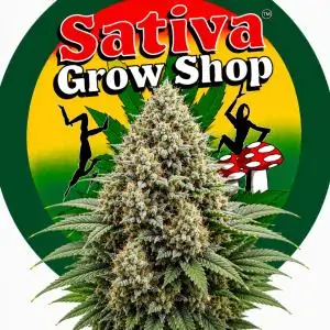 Auto Super Skunk
