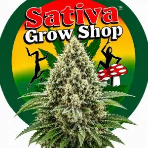 Auto White Widow
