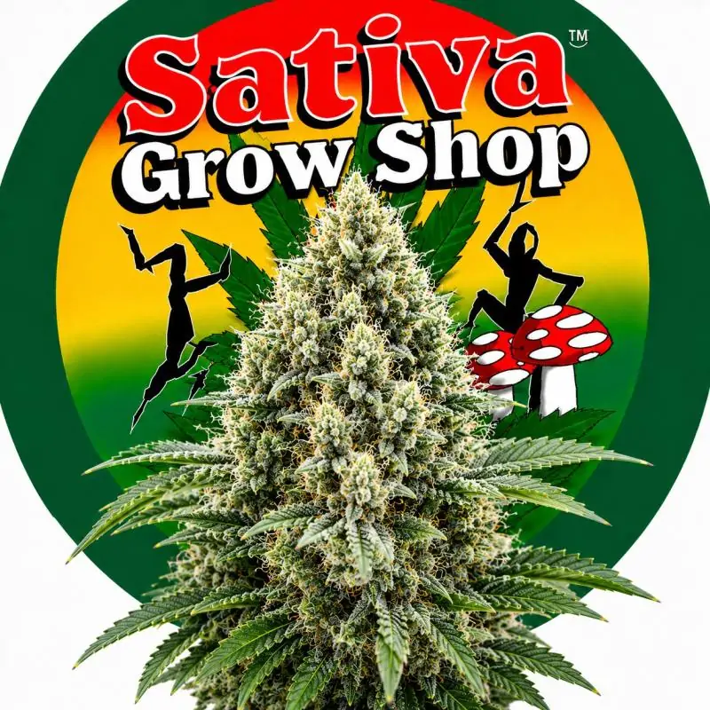 Auto White Widow