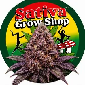 Gran Daddy Purple