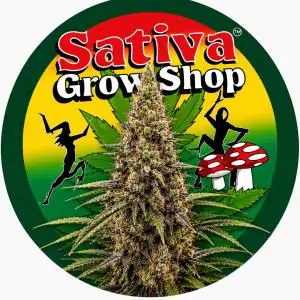 Hash Plant
