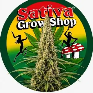 Jack Herer Fast
