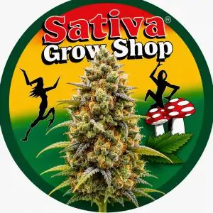 Lemon Tsunami CBD