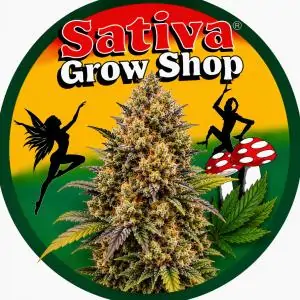 NYC Diesel CBD