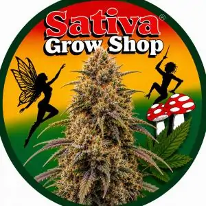 Papaya Crush