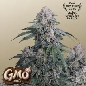 Auto GMO