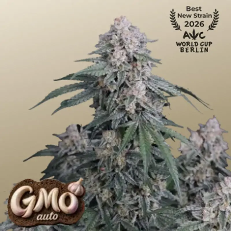 Auto GMO