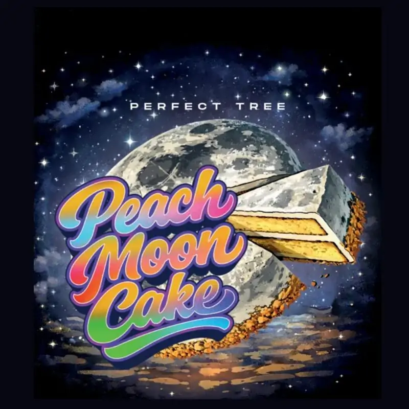 Peach Moon Cake