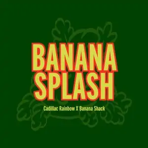 Banana Splash