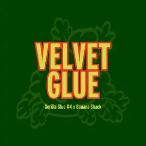 Velvet Glue