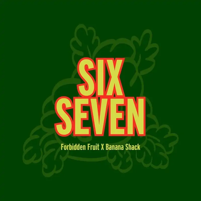 Six Seven