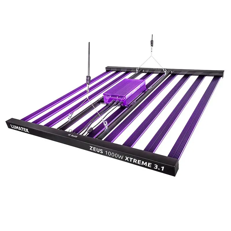 LUMATEK ZEUS 1000W XTREME 3,1