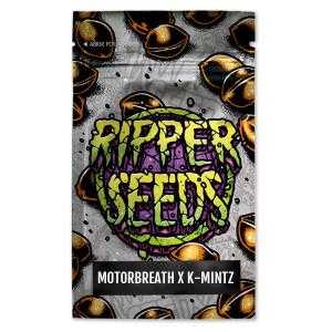 Motorbreath x K-Mintz 3 u. fem. Ed. Lim. Ripper Seeds - Ripper Seed...