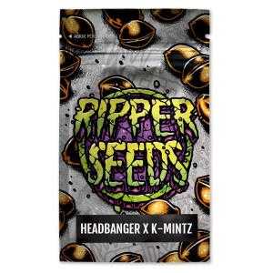 Headbanger x K-Mintz 3 u. fem. Ed. Lim. Ripper Seeds