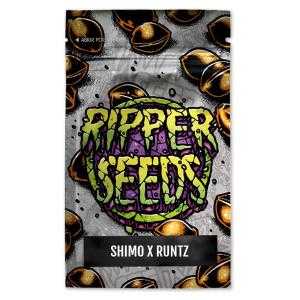 Shimo x Runtz 3 u. fem. Ed. Lim. Ripper Seeds