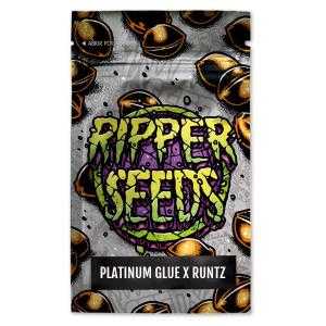 Platinum Glue x Runtz 3 u. fem. Ed. Lim. Ripper Seeds