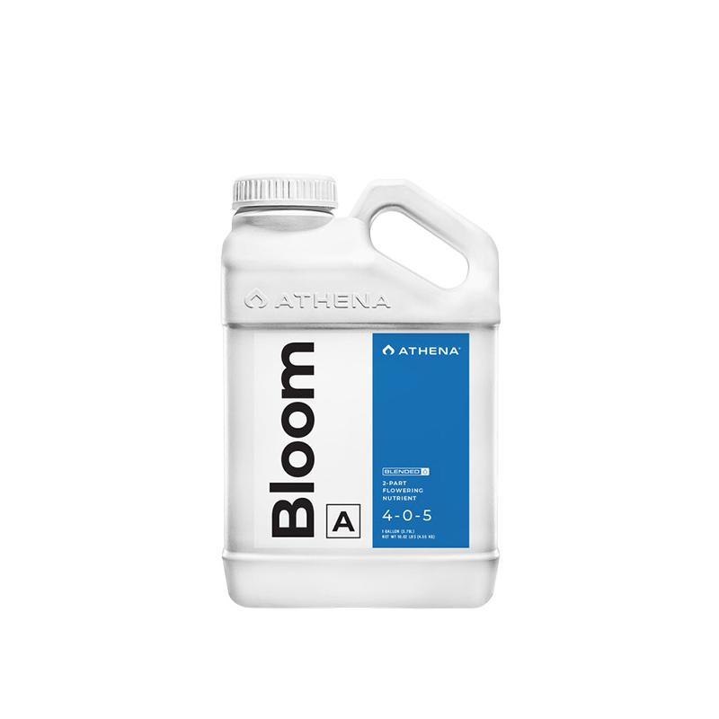 Bloom A Athena
