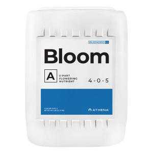 Bloom A Athena