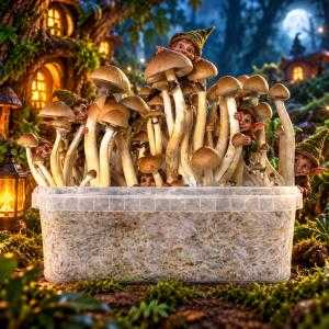 Grow Kit B+