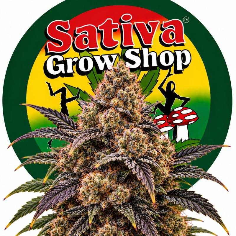 Godfather OG
