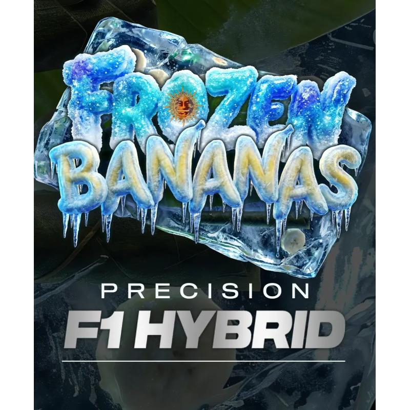 Frozen Bananas F1 Frozen Bananas F1