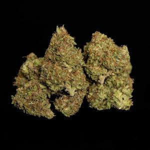 Auto Quantum Terp F1