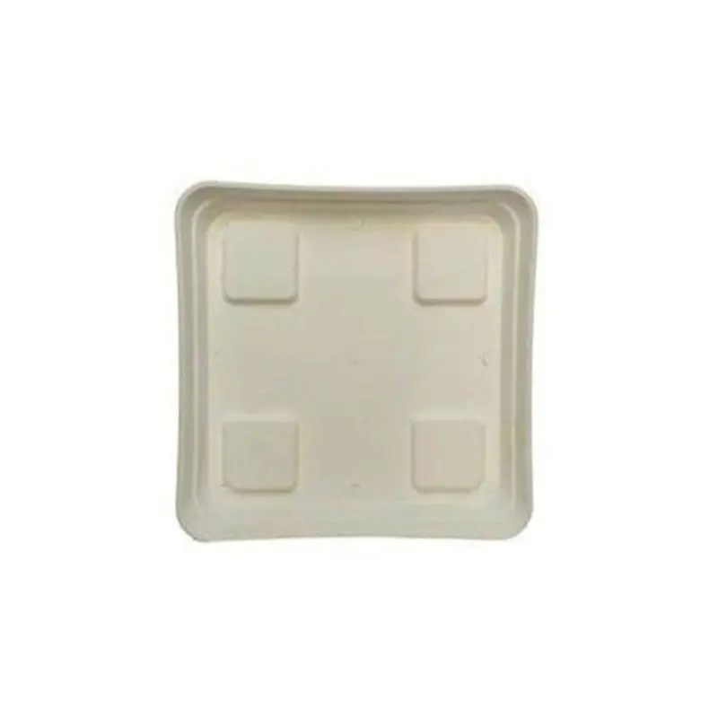 Plato cuadrado 20x20 blanco