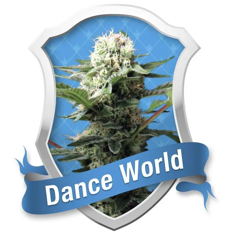 DANCE WORLD ROYAL QUEEN