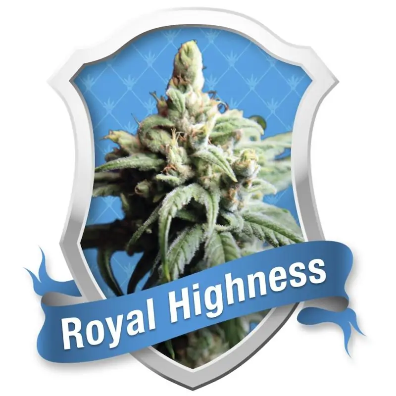 Royal Highness