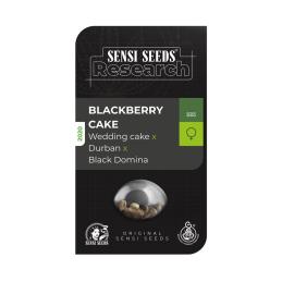 Blackberry cake SENSI SEEDS RESEARCH