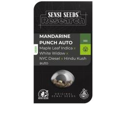 Mandarine Punch Auto sensi seeds research