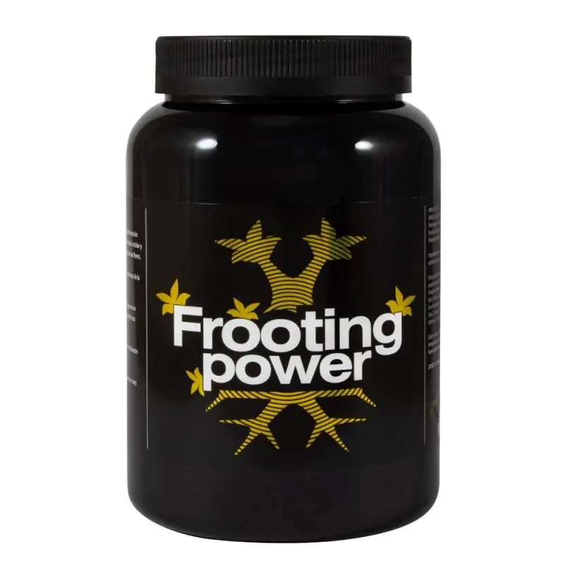 Frooting Power 1Kg