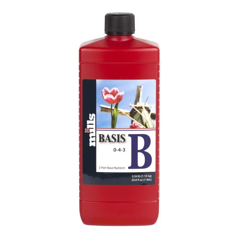 Mills Basis B 1L