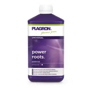 Power Roots 1L
