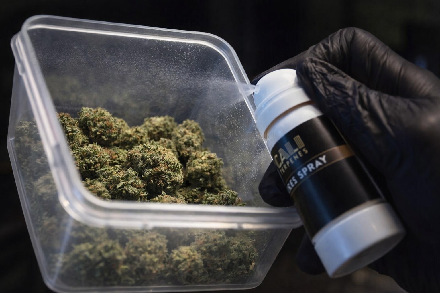 Qué son los terpenos de Cali Terpenes y cómo aplicarlos a marihuana o extracciones