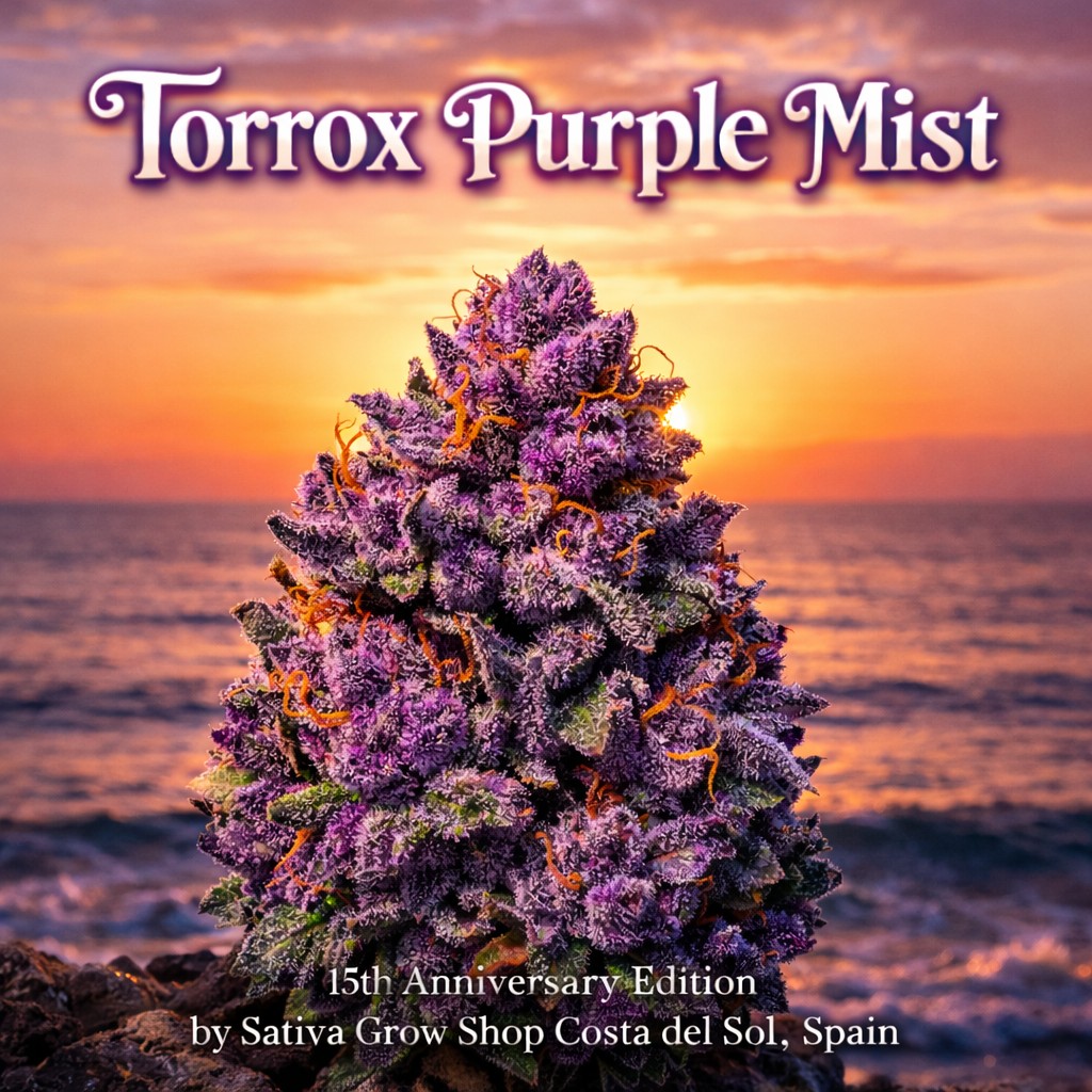Torrox Purple Mist
