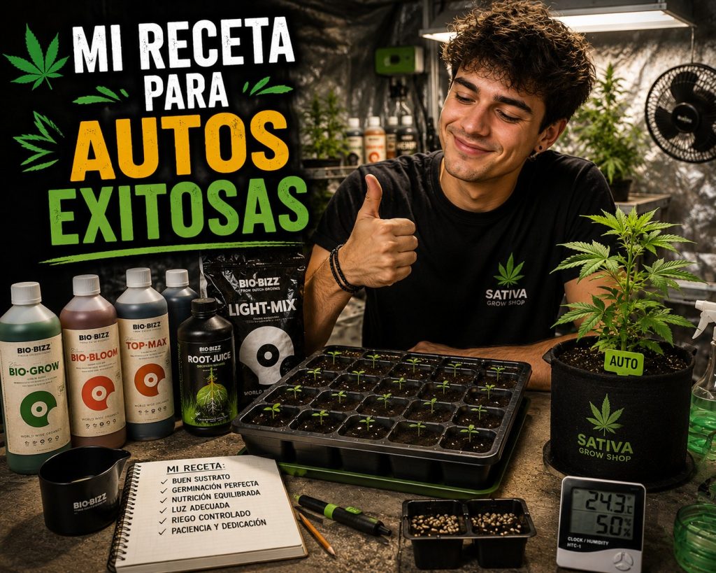 MI RECETA